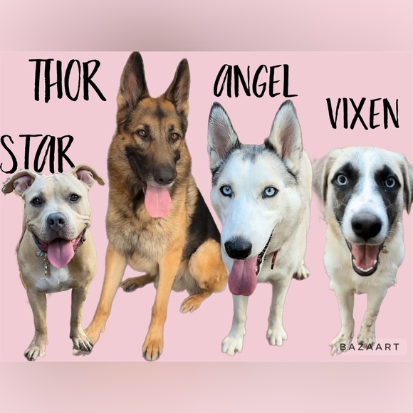 Meet your Posher, Jenna - Picture 2 of 4